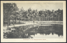 17539 Gezicht op de Eendenplas in het bos bij Driebergen-Rijsenburg.